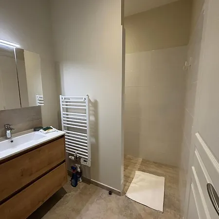 Proche Puy Du Fou Avec Parking - Fr-1-426-604 La Gaubretiere