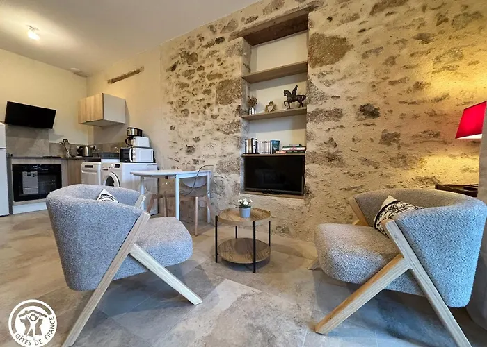 Ferienhaus Proche Puy Du Fou Avec Parking - Fr-1-426-604 La Gaubretiere