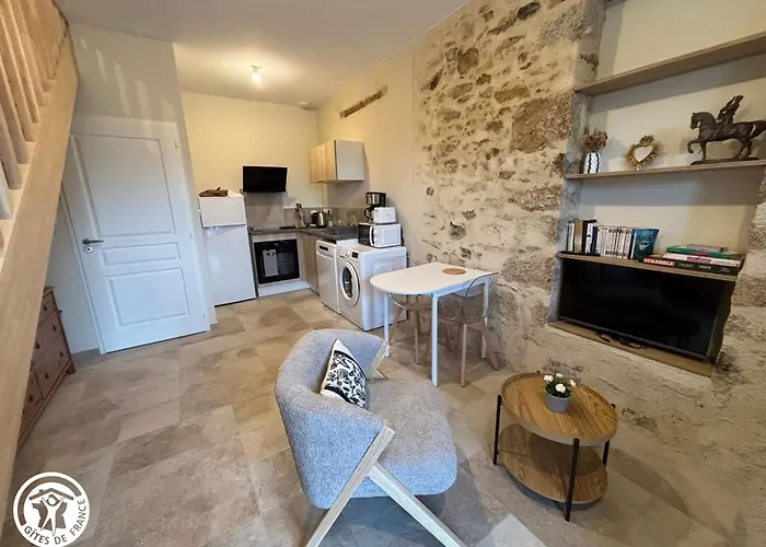 Proche Puy Du Fou Avec Parking - Fr-1-426-604 Ferienhaus